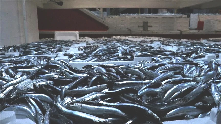 Kırmızı et pahalı gelince tercih değişti; 100 TL’ye 4 kişilik aile doyuyor. - Sayfa 5